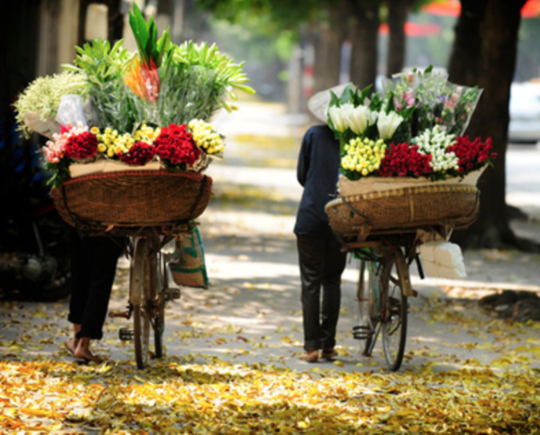 Vé tàu Hải Phòng Hà Nội đưa bạn đến với Thủ đô, nơi có những gánh hoa hay những chiếc xe đạp chở đầy hương sắc Hà Nội mang tên "Chiếc xe hoa"
