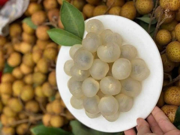 Nhãn lồng Hưng Yên nổi tiếng với hương thơm nhẹ nhàng, vị ngọt thanh