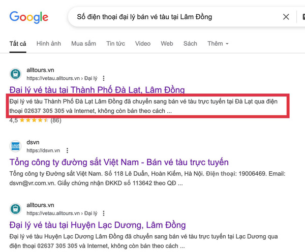 Hành khách gõ từ khoá trên Google để tìm đại lý bán vé tàu tại Lâm Đồng