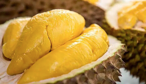 Sầu riêng Long Khánh - Đặc sản nức tiếng nơi đây