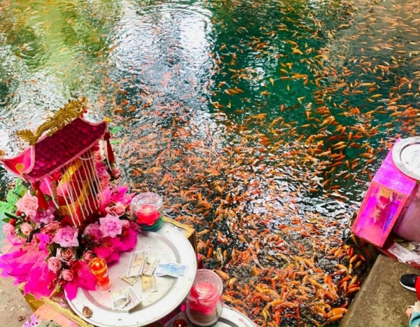 Đền Chín Giếng là điểm đến lý tưởng cho những ai yêu thích không gian tâm linh.
