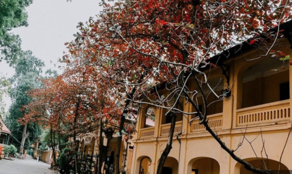Đặt vé tàu SE12 khám phá Phố Cổ Hà Nội