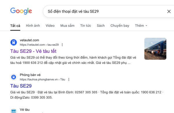 Tìm tên và thông tin, số điện thoại đại lý uy tín bán vé tàu SE29 trên Google