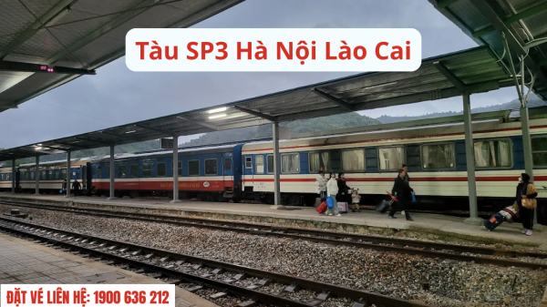 Tàu SP3