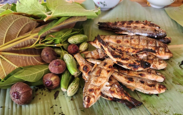 Cá suối nướng Minh Lệ - Món ăn dân dã nhưng vị ngon nhớ mãi