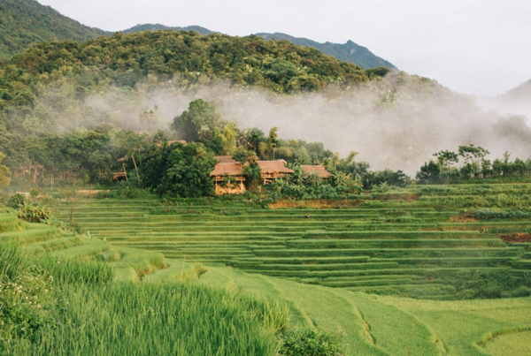 Đến Thanh Hoá - Đến với Pù Luông thơ mộng, những thửa ruộng bậc thang uốn lượn giữa mây trời